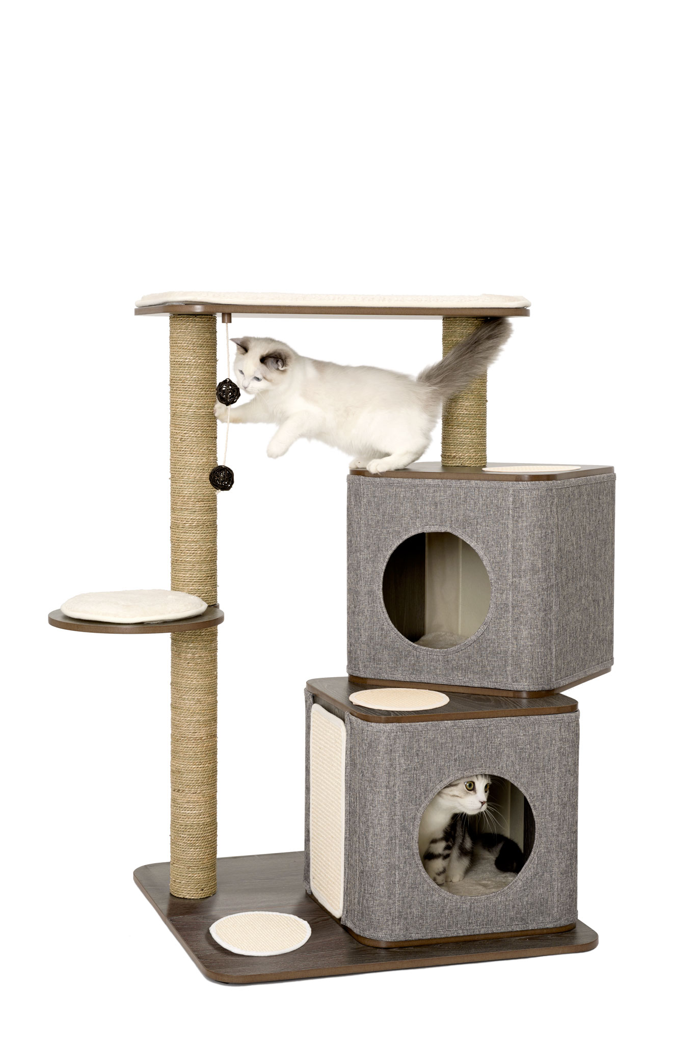 Cat Tree Cubox Twin Base design Lulu's World Pet Barn