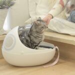 EGG SHELL Cat Backpack and Cat Bed