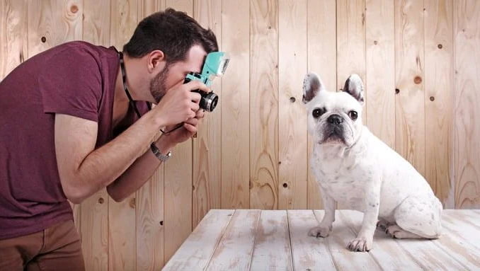 How to capture stunning pictures of your pets