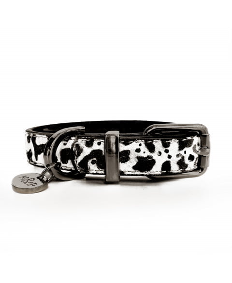dalmatian-leather-collar
