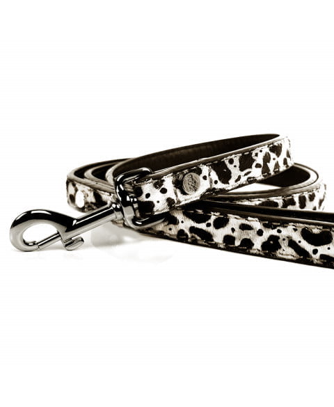 dalmatian-leather-leash