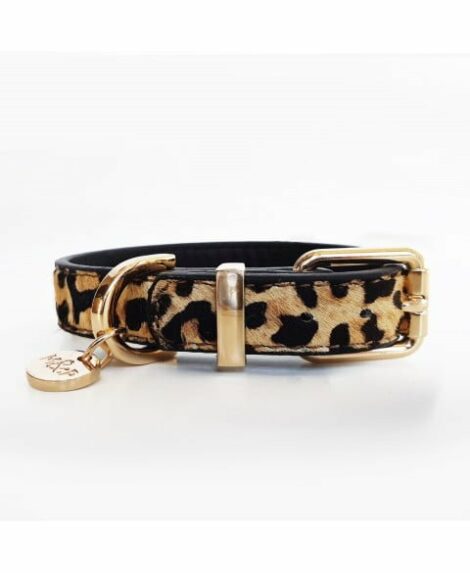 leopard-leather-collar