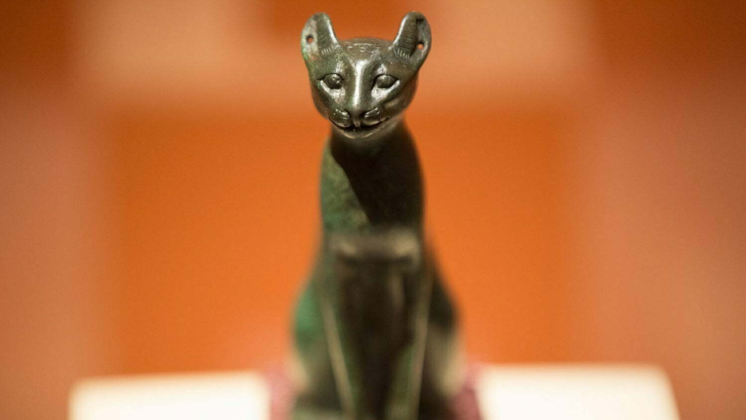 تاريخ القطط في مصر القديمة