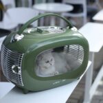SIXTIES Classic Pet Carrier