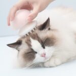 Jellyfish Massage Cat Comb - Pink