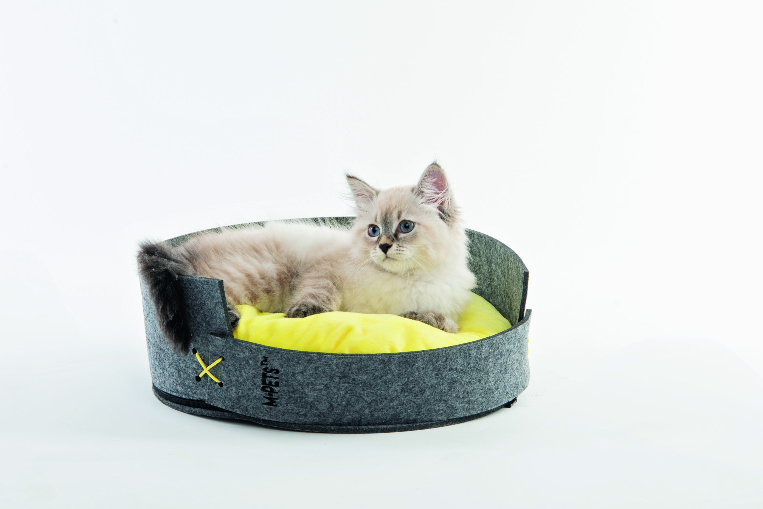 A fluffy white cat naps contentedly inside a MAUI Felt Basket, a round, pod-shaped bed made of soft grey felt with a reversible yellow and white cushion inside. The basket's modern design complements any home decor and provides a cozy sanctuary for cats to relax.