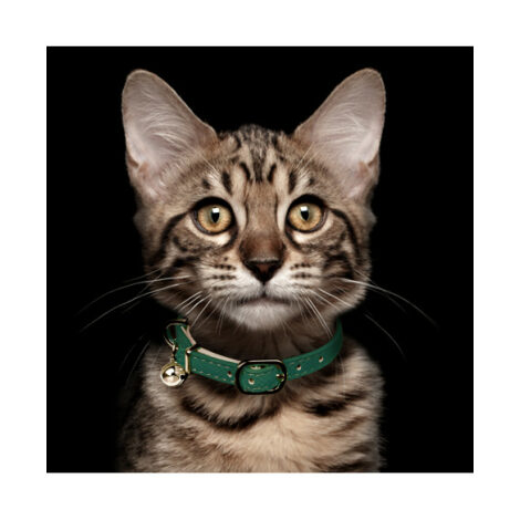 emerald-trocadero-cat-collar (1)