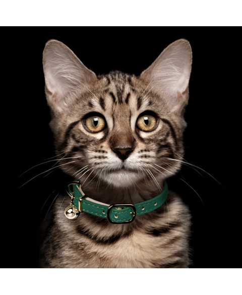emerald-trocadero-cat-collar (1)