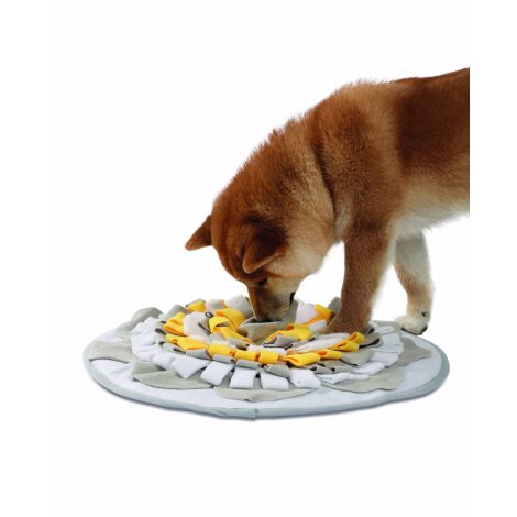 M-PETS_10506099_STRATEGE Snuffle Mat Yellow with dog2