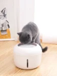 Water Fountain for Pets