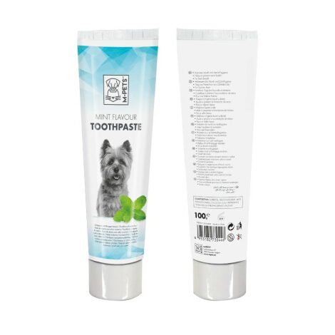 toothpaste mint