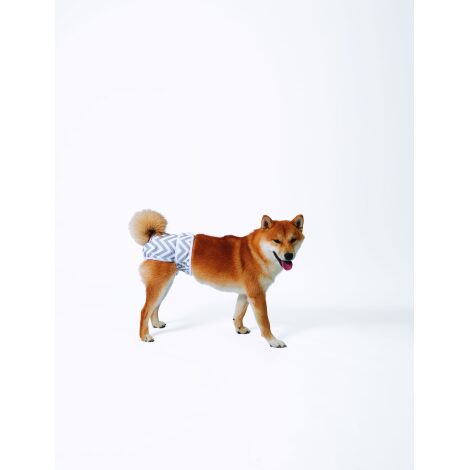 M-PETS_10168899_WASHABLE DOG DIAPERS_FEMALE_XS_With Dog_#03