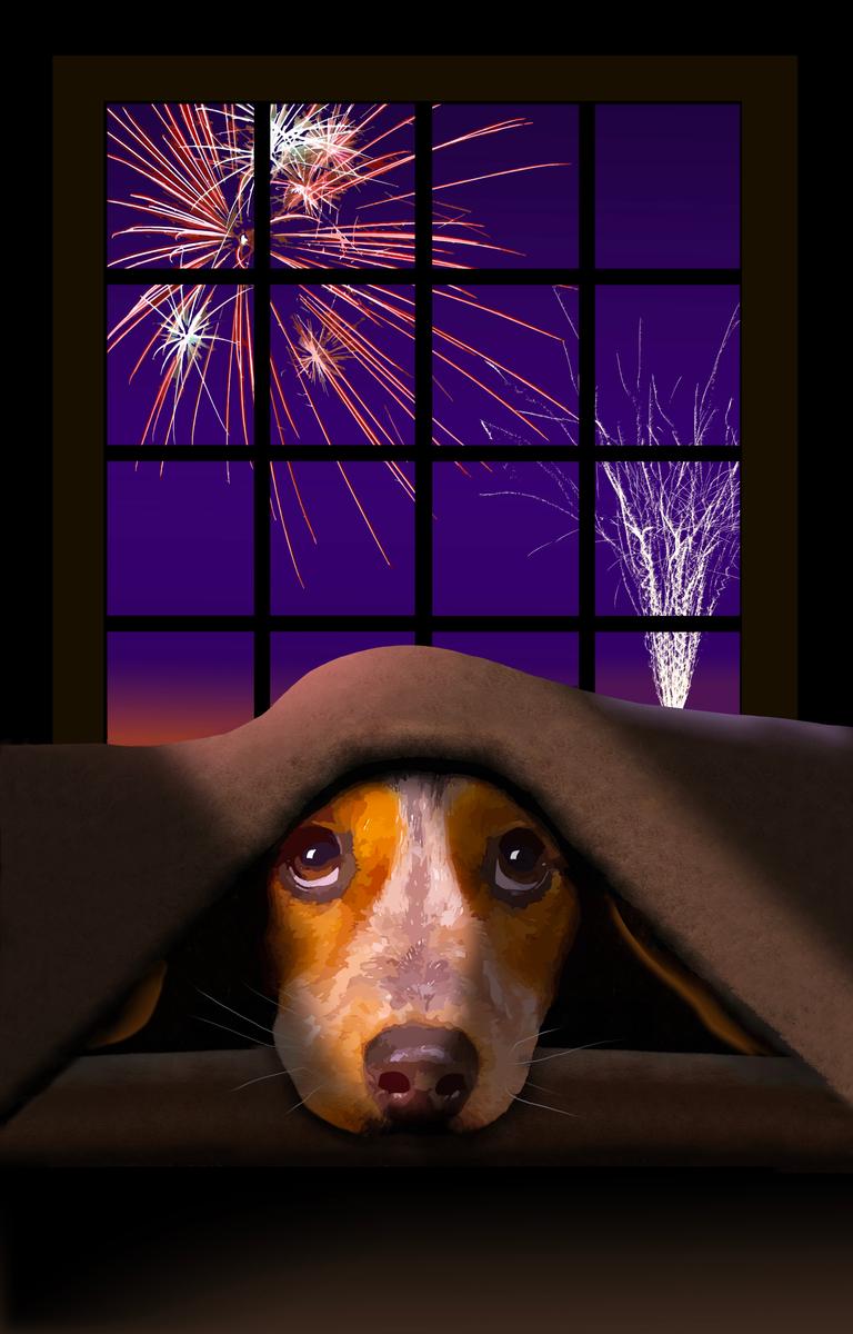 Help Your Dog Overcome Fear of Fireworks