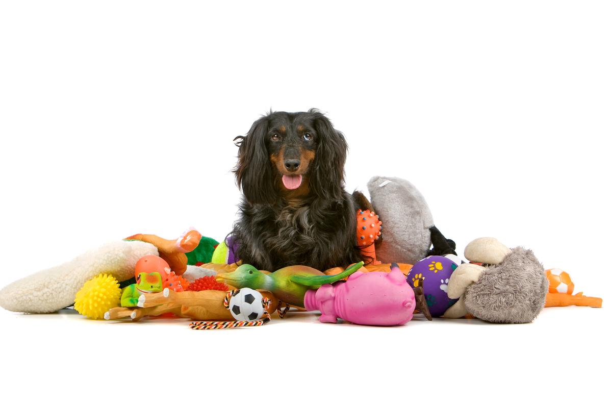 Interactive Dog Toys: Engaging Fun for a Happy Pup - Pet Barn