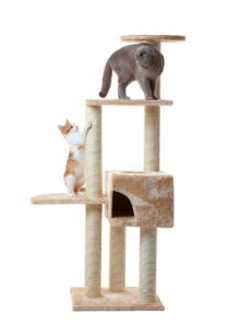 Cat Trees and Scratching Posts: Perfect for Your Feline