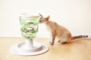 The Best Puzzle Toys for Cats: Stimulating Their Minds and Curiosity