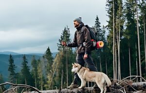 Outdoor Adventure Essentials: Must-Have Gear for Active Dogs