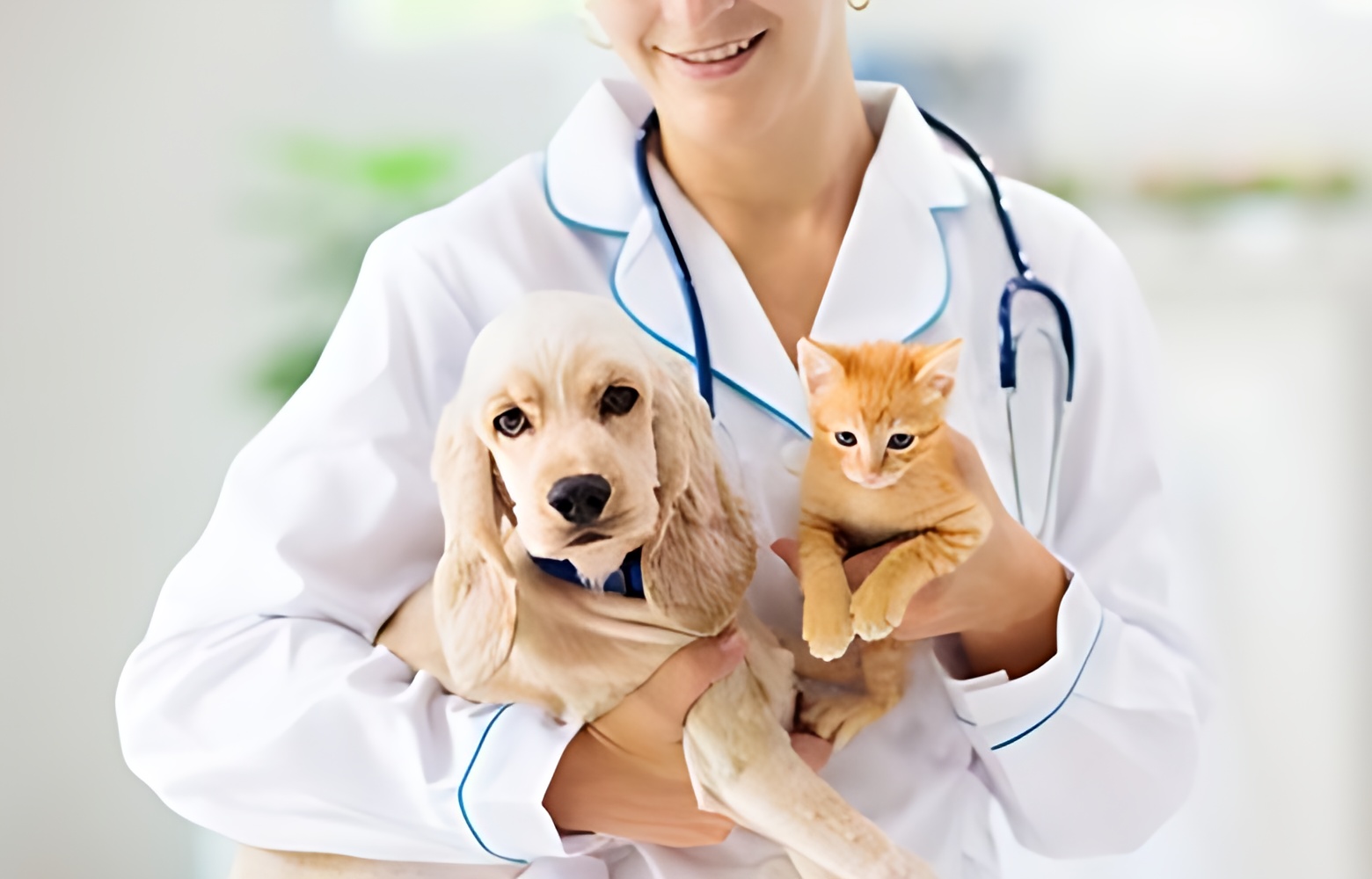 Respiratory Infections in Dogs and Cats: Identifying and Treating Common Respiratory Issues