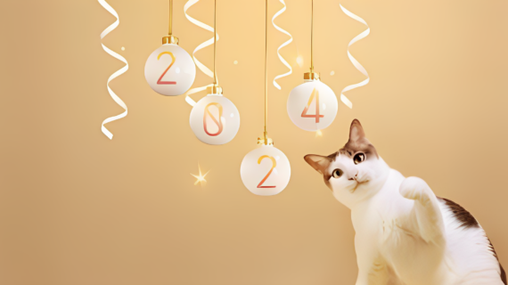 التحضيرات اللازمة لقضاء حفلة رأس سنة لا تنسى مع قطتك: