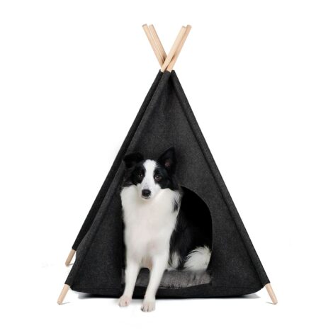 Lulu tipi