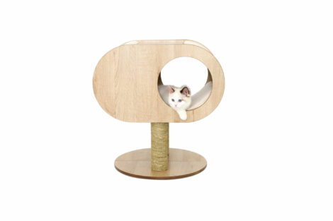 A playful tabby cat explores the Lulu's World Casa Cosmo Cat House, featuring a cozy cave, observation deck with window, sisal scratching post, and plush interior. The modern design complements any home decor.