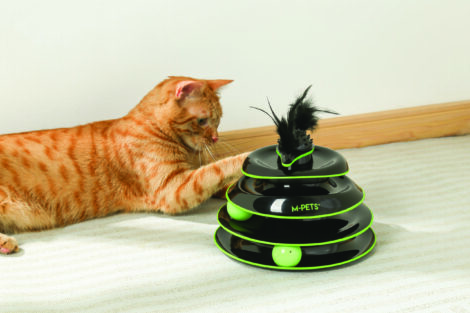 M-PETS_20639299_ECO Play Tower_Cat toy_Castle_Black & green_#01_Lifestyle_Cat_indoor_HOR_CMYK_2