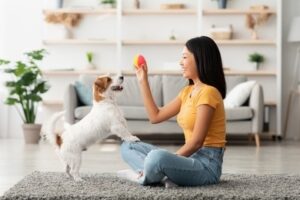 New-Year-New-Unleashing-the-Potential-of-Pet-Training