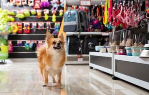 Top Pet Products of 2023: Enhancing Life with Innovative Solutions