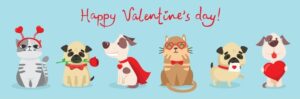 Valentine's Day Pet Gift Guide: Shower Your Furry Friend with Love