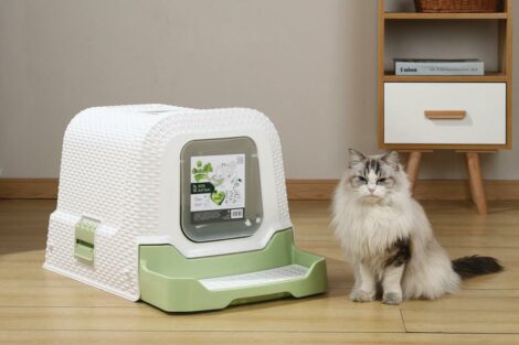 M_PETS_20118799_ECO_Rattan_Cat_Toilet_White_&_green_Lifestyle_With_cat_With_packaging_HOR_CMYK_1