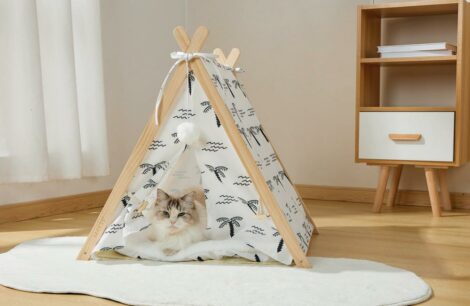 M_PETS_20303699_COSY_TENT_Cat_Bed_Tropical_Lifestyle_Indoor_Cat_HOR_CMYK