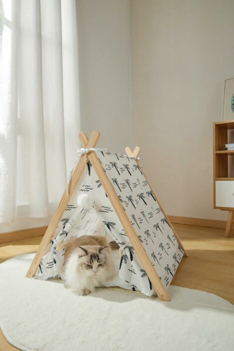 M_PETS_20303699_COSY_TENT_Cat_Bed_Tropical_Lifestyle_Indoor_Cat_sleeping_VER_CMYK