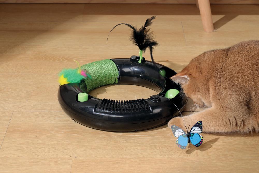 Petbarn cat toys outlet