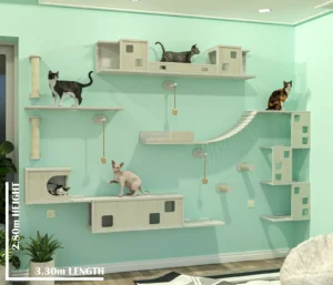 A variety of cat wall