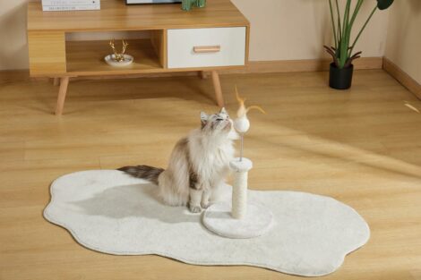 M-PETS_20642999_MY FIRST CAT TREE_Feather_white_Lifestyle_Cat_Indoor_HOR_CMYK