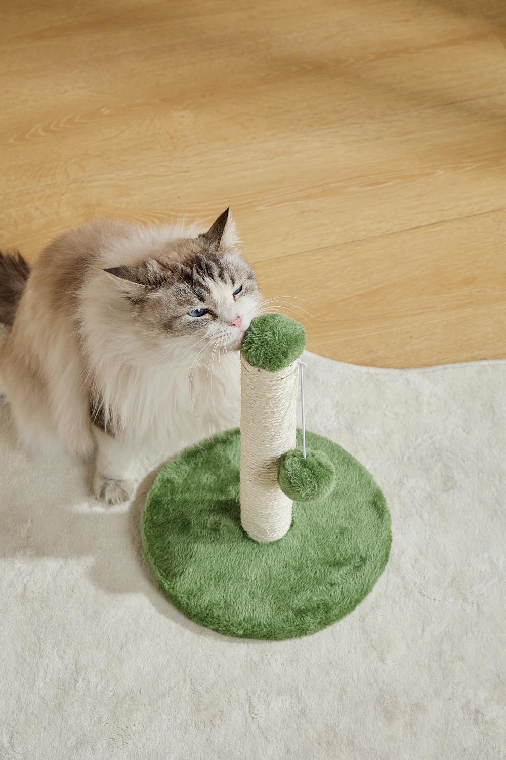 Petbarn cat tree top
