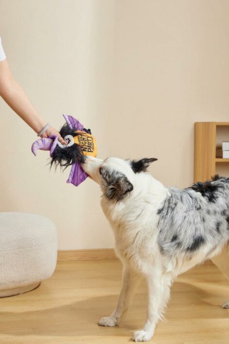 M-PETS_10659399_Halloween SNACK ATTACK Toy_Witch_Lifestyle_Indoor_Dog_VER_CMYK_4