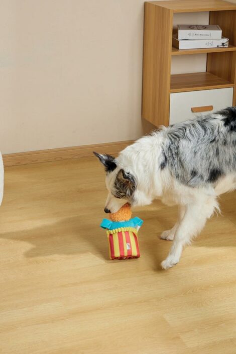 M-PETS_10659499_Joyful SNACK ATTACK Toy_Circus_Lifestyle_Indoor_Dog_VER_CMYK_2