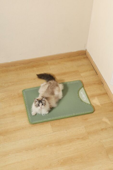 M_PETS_20118008_DUPLEX_Cat_Litter_Mat_Vertical_Green_Lifestyle_with_cat_3