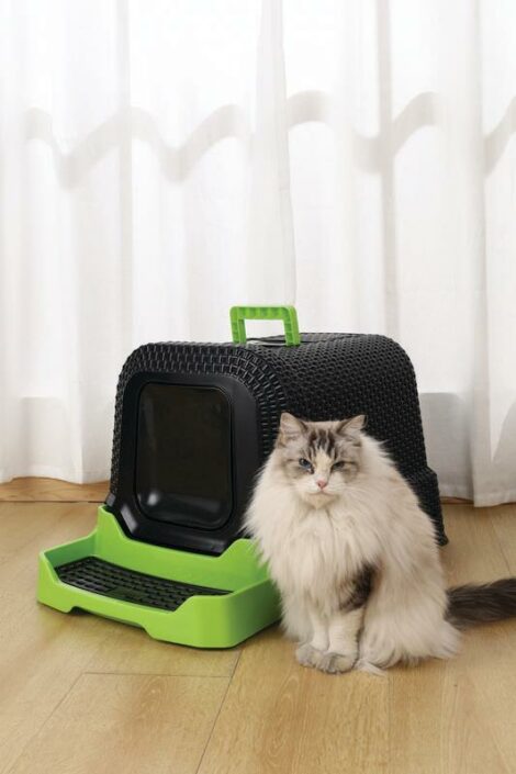 M_PETS_20118399_ECO_Rattan_Cat_Toilet_recycled_plastic_Black_&_green_Lifestyle_With_cat_VER_CMYK_1