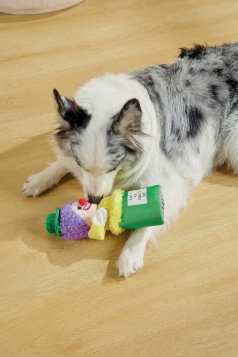 M-PETS_10659599_Joyful SNACK ATTACK Toy_Pipo_Lifestyle_Indoor_Dog_VER_CMYK_2