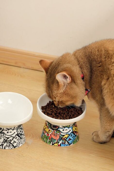 M_PETS_20501399_20501399_URBAN_STYLE_TILT’D_Raised_Ceramic_Bowl_150ml_Lifestyle_Indoor_Cat_VER_CMYK