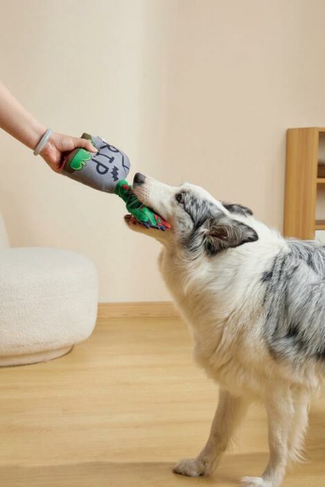 M-PETS_10659099_Halloween SNACK ATTACK Toy_Tomb_Lifestyle_Indoor_Dog_VER_CMYK_4