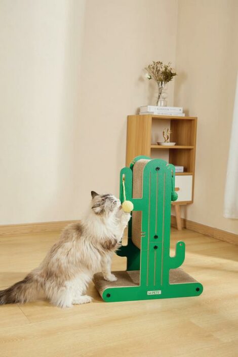 08.M-PETS_20642399_Cactus_Arizona_CAT_Scratch board_Lifestyle_Indoors_With cat_VER_CMYK