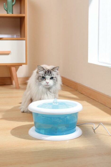 M_PETS_20501299_ALTAN_Drinking_Fountain_CAT_2L_Lifestyle_with_cat_VER_CMYK_2