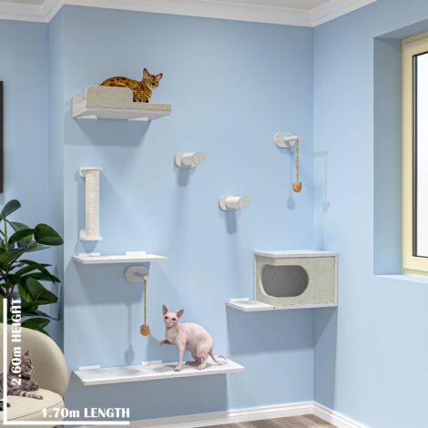 Olivia Cat Wall