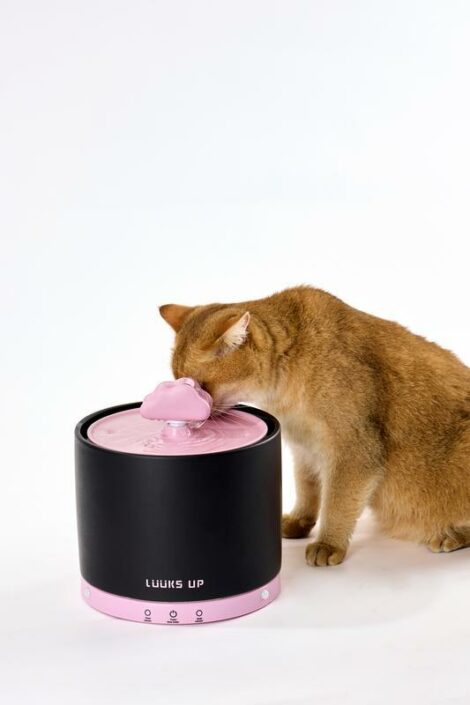 Ceramic Drinking Fountain - Cloud Drop